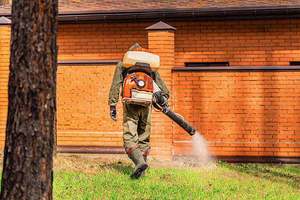 Top rated local Mosquito Control specialists in Malta, MT